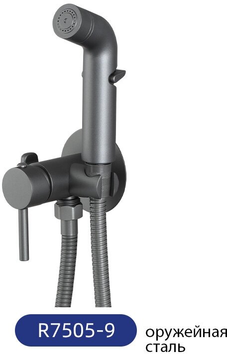 Frud гигиенический душ со смесителем, цвет оружейная сталь , R7505-9
