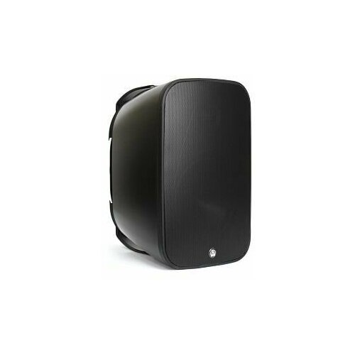 Настенная акустическая система AuraSonics DENSE-8T 1969000₽