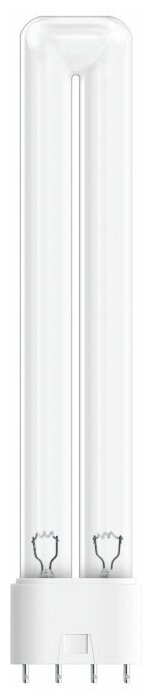   Osram 36 2G11