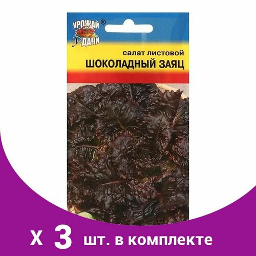 Семена Салат 'шоколадный заяц',0,5 гр (3 шт) семена салат пушкин 0 05г 2 подарка