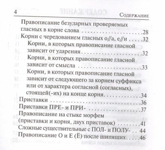 ЕГЭ Русский язык. 10-11 классы. Карманный справочник - фото №4