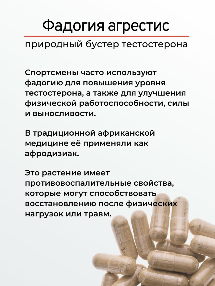 Изображение Фадогия Агрестис, Природный бустер тестостерона, 90 капсул по 650 мг, - "Русские корни"