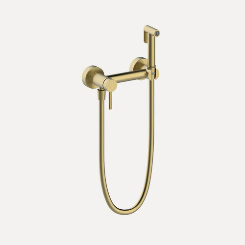 Изображение товара Смеситель для биде с гигиеническим душем, настенный из латуни от бренда Vieir V462552-S матовое золото