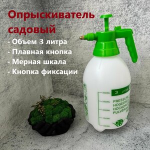 Основная фотография от вендора