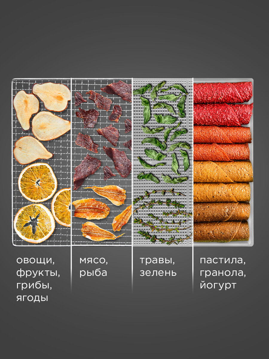 Сушилка дегидратор REDMOND FD1105, для овощей, фруктов, грибов, мяса, с поддоном для пастилы, сеткой для трав, графит — фото 1
