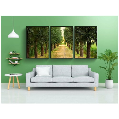 фото Набор модулных постеров для интерьера "деревья, переулок, обсаженный деревьями" 60x90 см. в тубусе, без рамки lotsprints