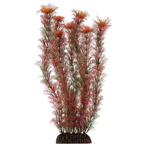 Искусственное растение Laguna Амбулия 30 см 30 см красный