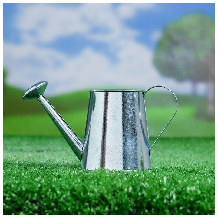 фото Кашпо "Лейка" 15*6,5*9 см 3924649