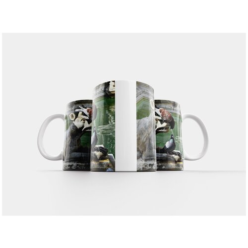 фото Кружка "голуби, напиток, фонтан" 320 мл lotsprints