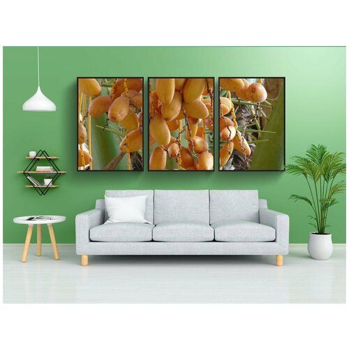 фото Набор модулных постеров для интерьера "плоды финиковой пальмы, дата, дата плоды" 60x90 см. в тубусе, без рамки lotsprints