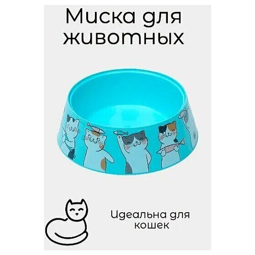 Миска 
