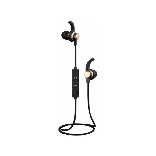 BandRate Smart BRSG11BG 120000₽