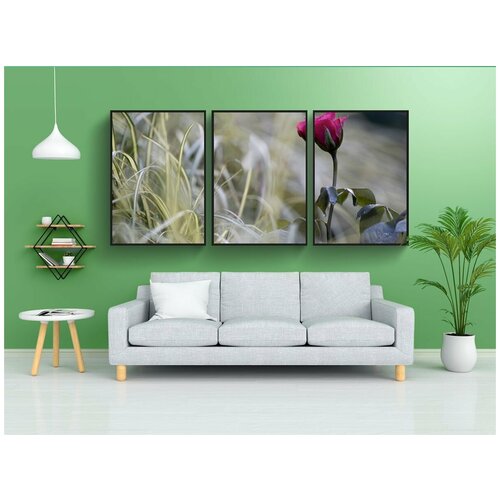 фото Набор модулных постеров для интерьера "роза, цветок, цвести" 60x90 см. в тубусе, без рамки lotsprints