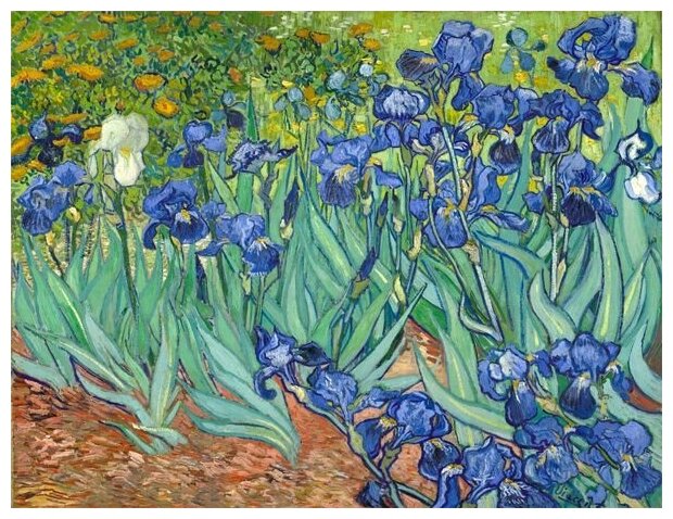 Репродукция на холсте Ирисы (Irises) №1 Ван Гог Винсент 39см. x 30см.