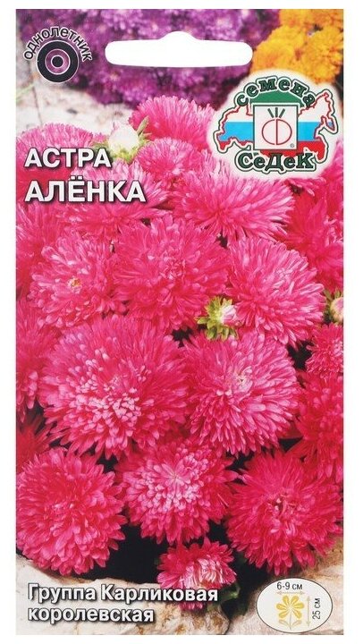 Семена СеДек Астра Аленка