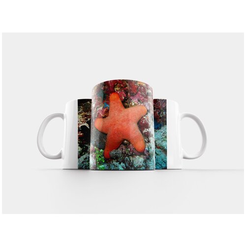 фото Кружка "морская звезда, кораллы, мальдивские острова" 320 мл lotsprints