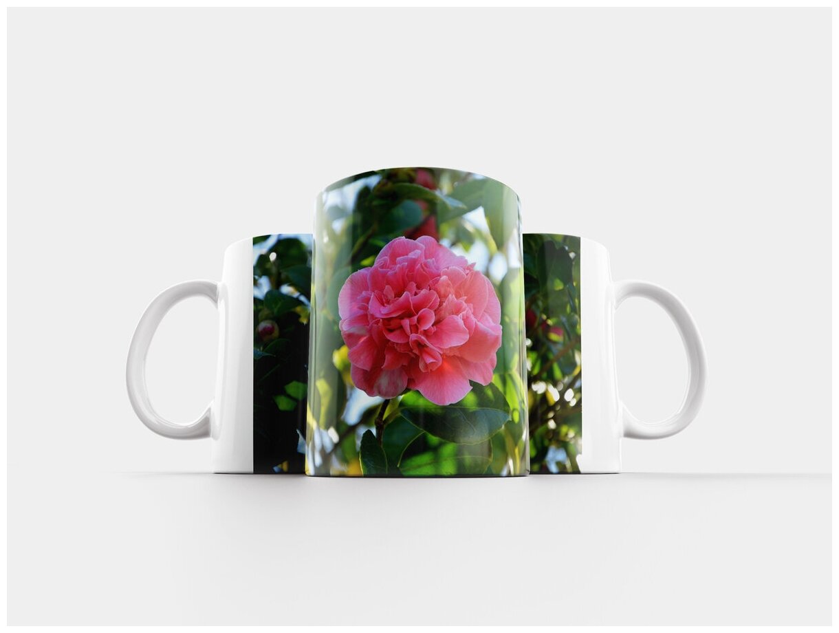 Кружка "Цветок цветок камелии камелия розовый" 320 мл