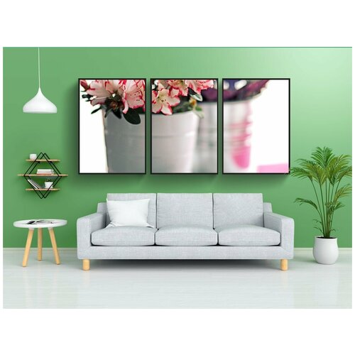 фото Набор модулных постеров для интерьера "азалия, белый горшок, книга" 60x90 см. в тубусе, без рамки lotsprints