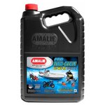 Моторное масло Amalie Pro 2-Cycle TC-W 3 RL 3,78 л - изображение