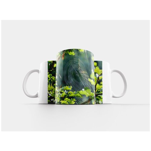 фото Кружка "паук, паутина, web" 320 мл lotsprints