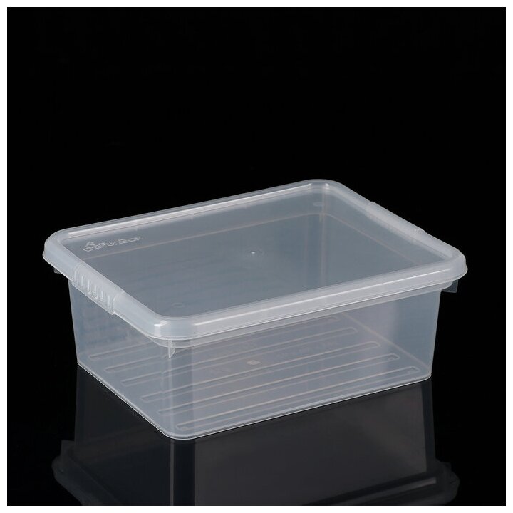 Ящик для хранения FunBox Basic с крышкой 3 л 41959 - фотография № 2