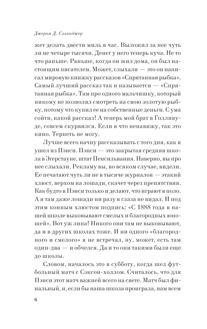 Над пропастью во ржи (Сэлинджер Джером Дэвид) - фото №11