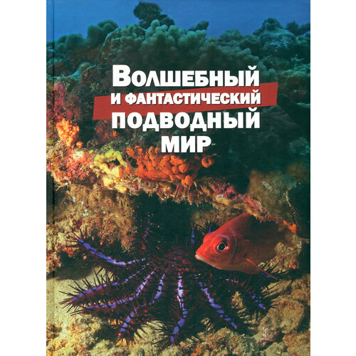 Волшебный и фантастический подводный мир | Климов Василий Владимирович