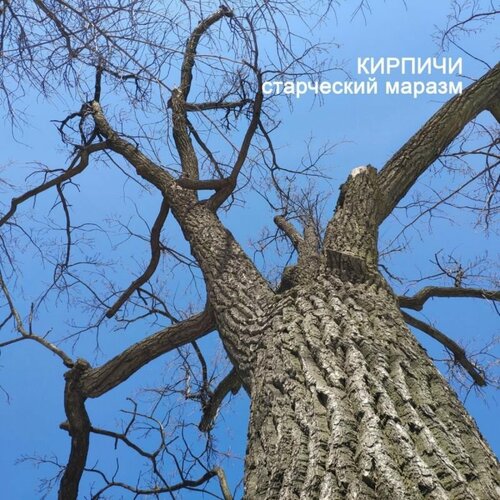 Кирпичи Виниловая пластинка Кирпичи Старческий Маразм зоопарк blues de moscou 4 cd