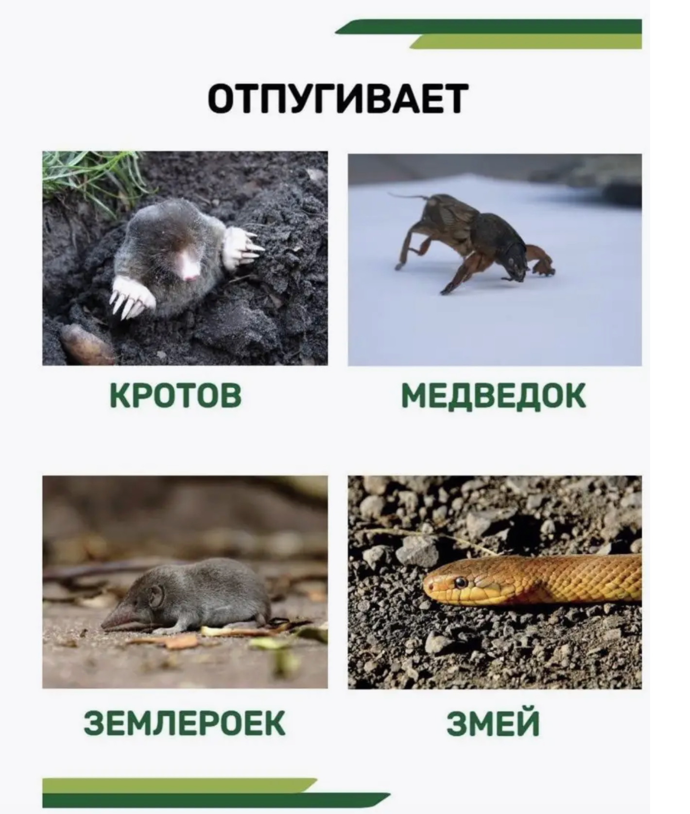 Отпугиватель кротов Торнадо - фото №19