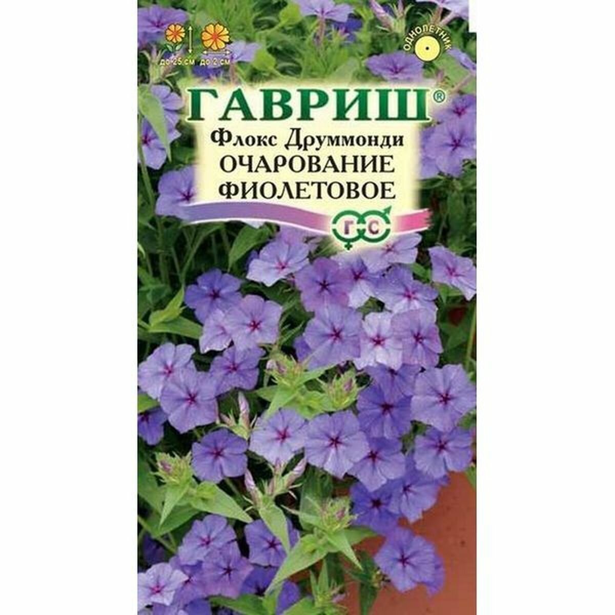 Семена Семена Флокс Очарование фиолетовое друммонда однолетник гавриш 005г