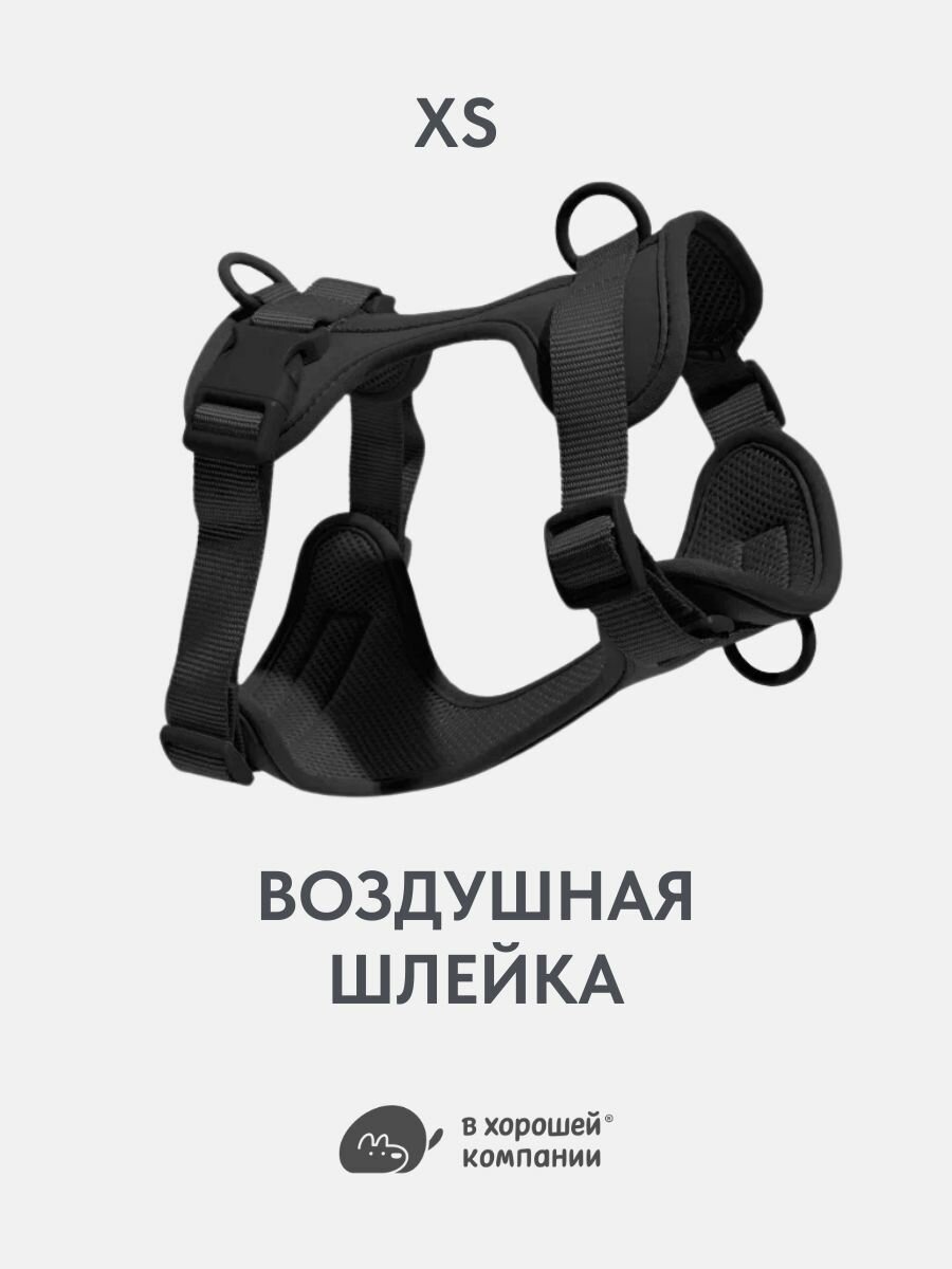 Анатомическая прогулочная шлейка с адресником для собак мелких пород и кошек IN GOOD COMPANY (XS / Дикий Черный)