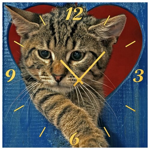 фото Svs настенные часы svs 4001856 расстроеный кот