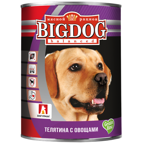 Влажный корм для собак Зоогурман Big Dog, телятина, с овощами 1 уп. х 1 шт. х 850 г (для средних и крупных пород)