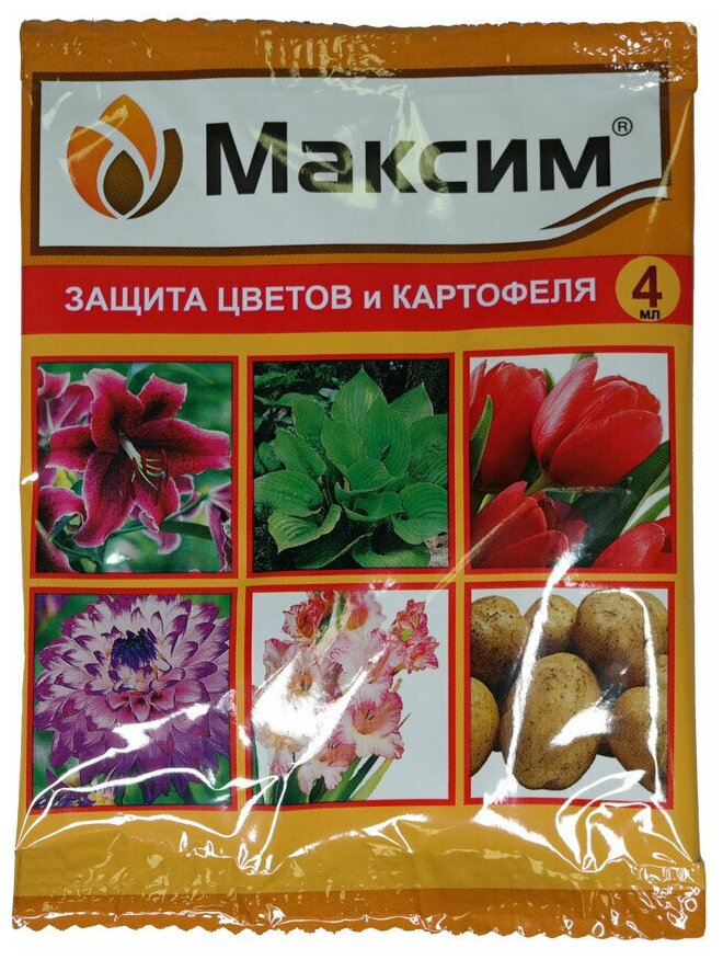 Максим (4мл )