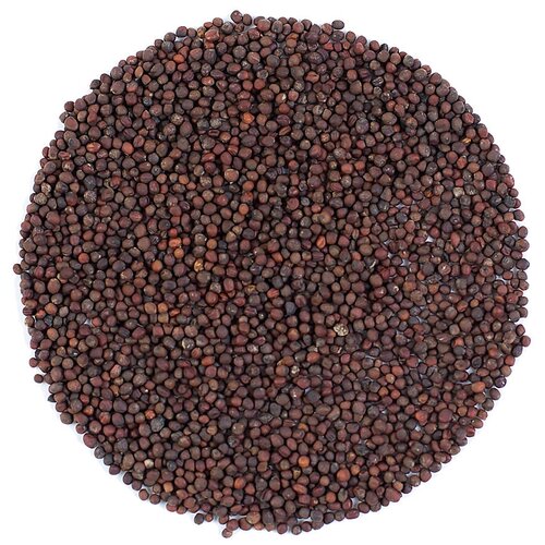 Семена 100 гр. Капуста краснокочанная (семена микрозелени)