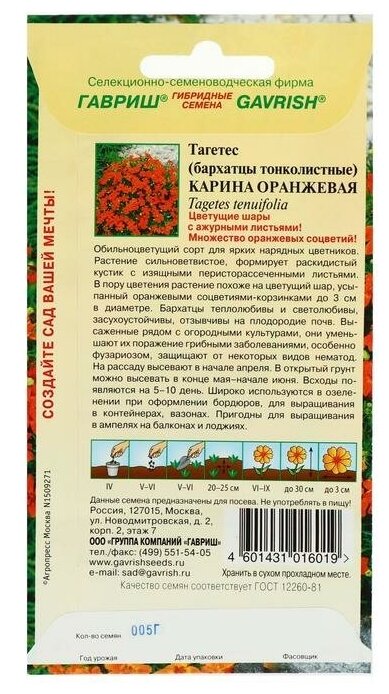 Семена цветов Бархатцы "Карина оранжевая ", тонколистные, 0,05 г - фотография № 4
