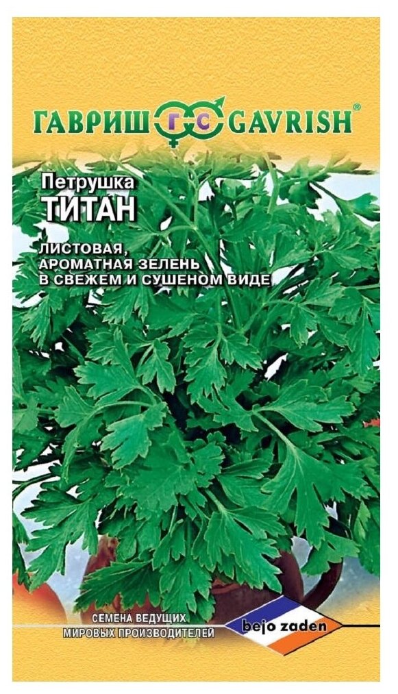 Семена Петрушка листовая Титан Bejo 0,5 гр.
