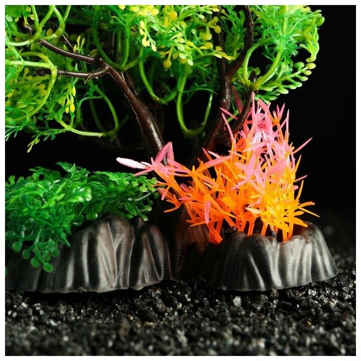 Пижон Аква Растение искусственное аквариумное, 25 см - фотография № 7