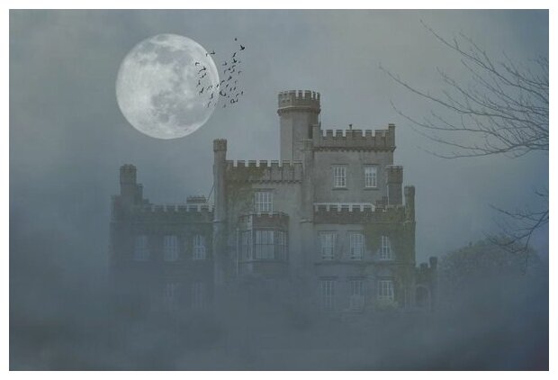 Постер на холсте Замок в лунную ночь 75см. x 50см.