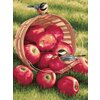 Картина по номерам 000 Hobby Home Яблоки и птицы 40х50 - изображение