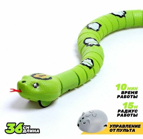 Змея радиоуправляемая Джунгли, зеленый