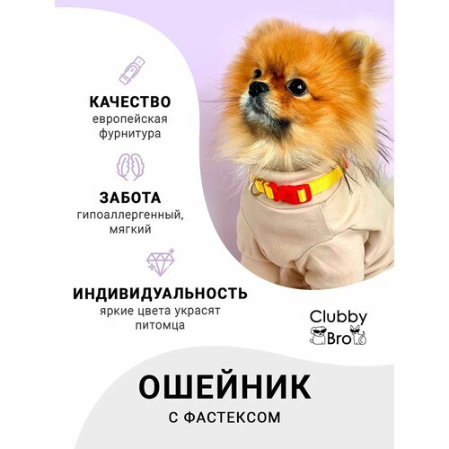 Clubby Bro Ошейник для собак мелких пород и средних пород, желтый-красный, размер S