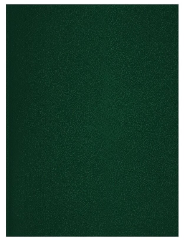 Тетрадь OfficeSpace 96 листов, А4, клетка, бумвинил, зеленый (Т4бв96к_19078)