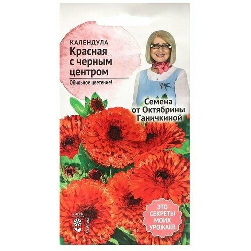 Семена Цветов . Календула . Красная с чёрным центром .0,3 г .4 уп набор семян календула красная с чёрным центром 0 3 г 5 уп