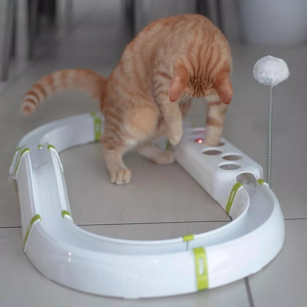 Ferplast интерактивная игрушка LABYRINTH для кошек (72х40х24 см) - фото №4