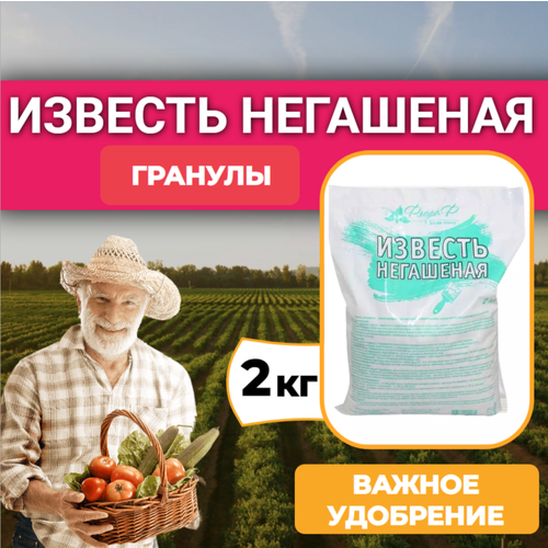 Известь негашеная 1 шт 2кг ФлораФ