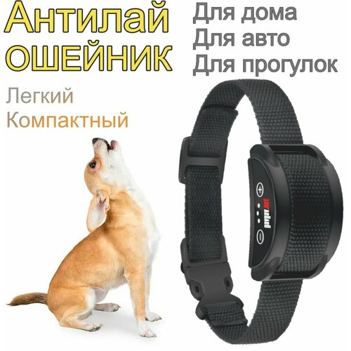 Ошейник от лая и воя / Антилай ошейник / Электронный ошейник для маленьких и средних собак PD258