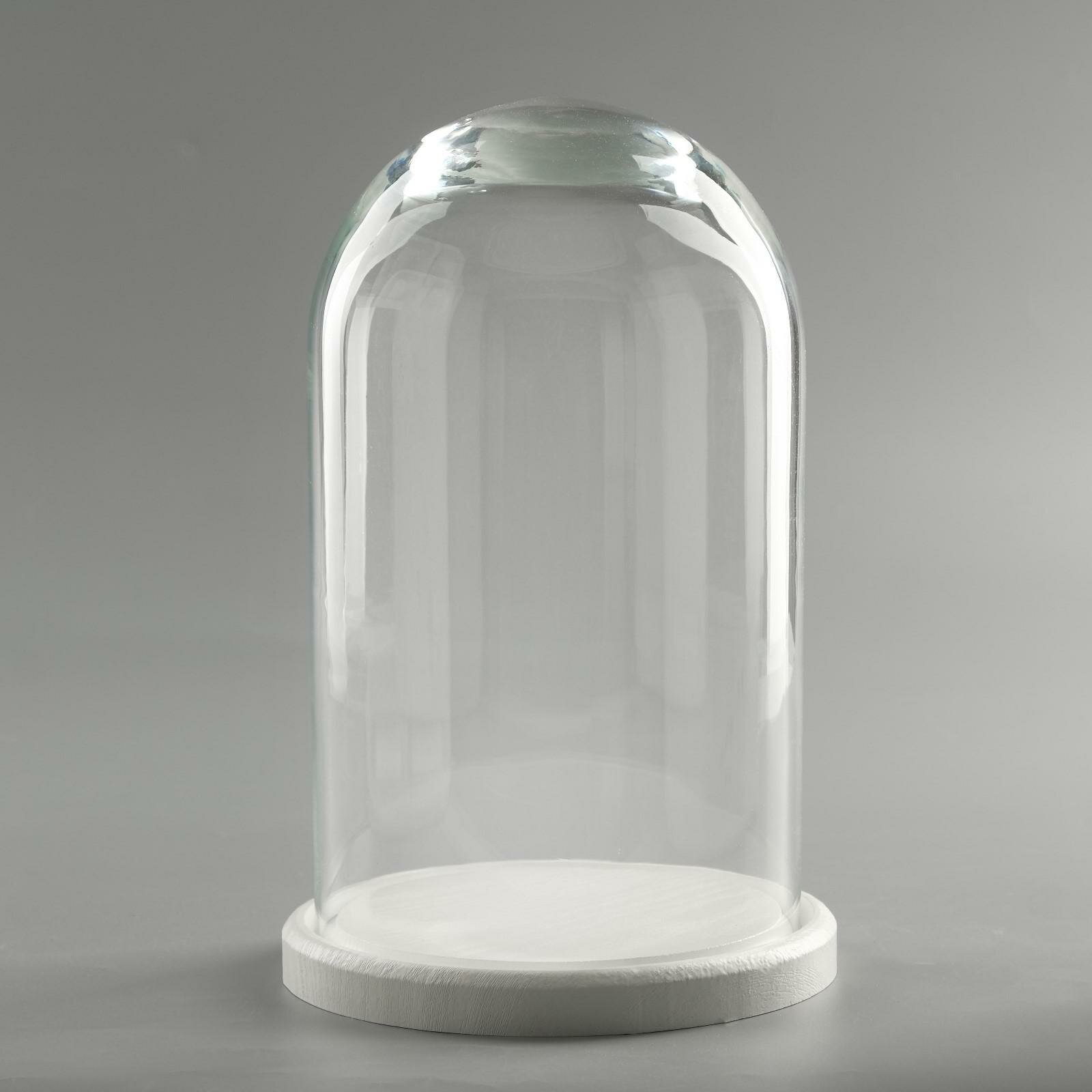 Стеклянный купол-клош на деревянной подставке «Венсан» 25×15 см белый
