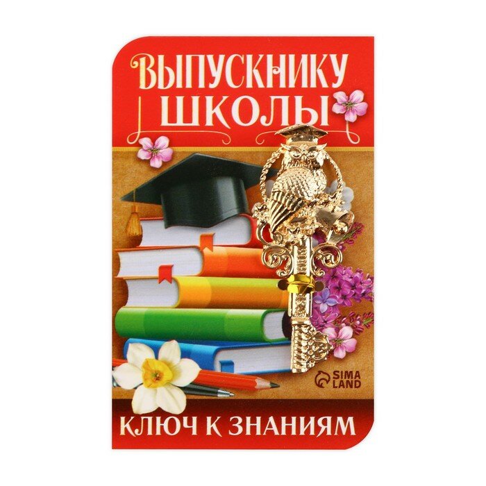 Ключ сувенирный «Выпускнику школы», металл, 2 х 4,8 см - фотография № 1