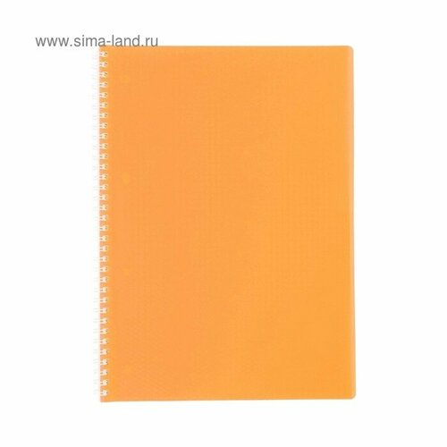 Тетрадь на гребне A4 60 листов в клетку Calligrata Оранжевая, пластиковая обложка, блок офсет